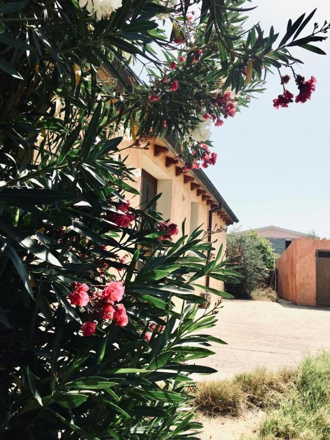 Agriturismo Funtan'Arva Loculi Exterior foto